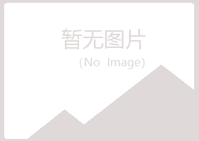 青海夏岚公益组织有限公司